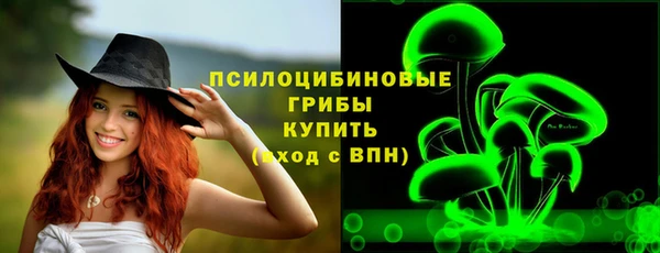 spice Абаза