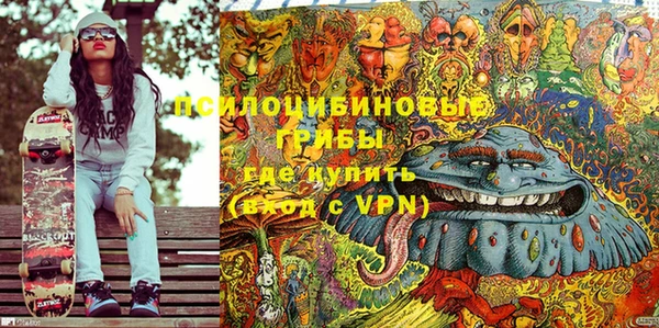 бошки Алексин