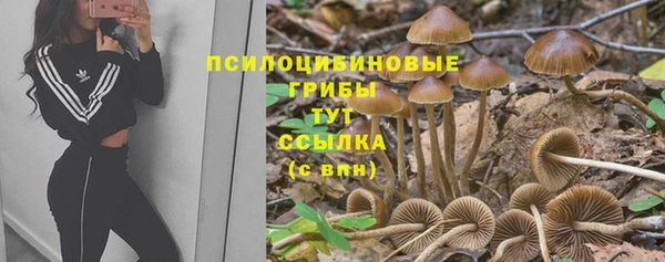 скорость mdpv Алексеевка