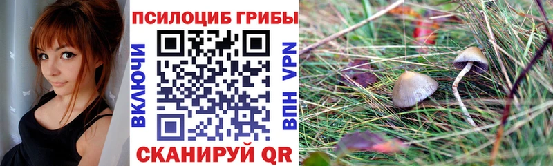 darknet Telegram Брюховецкая Галлюциногенные грибы Cubensis